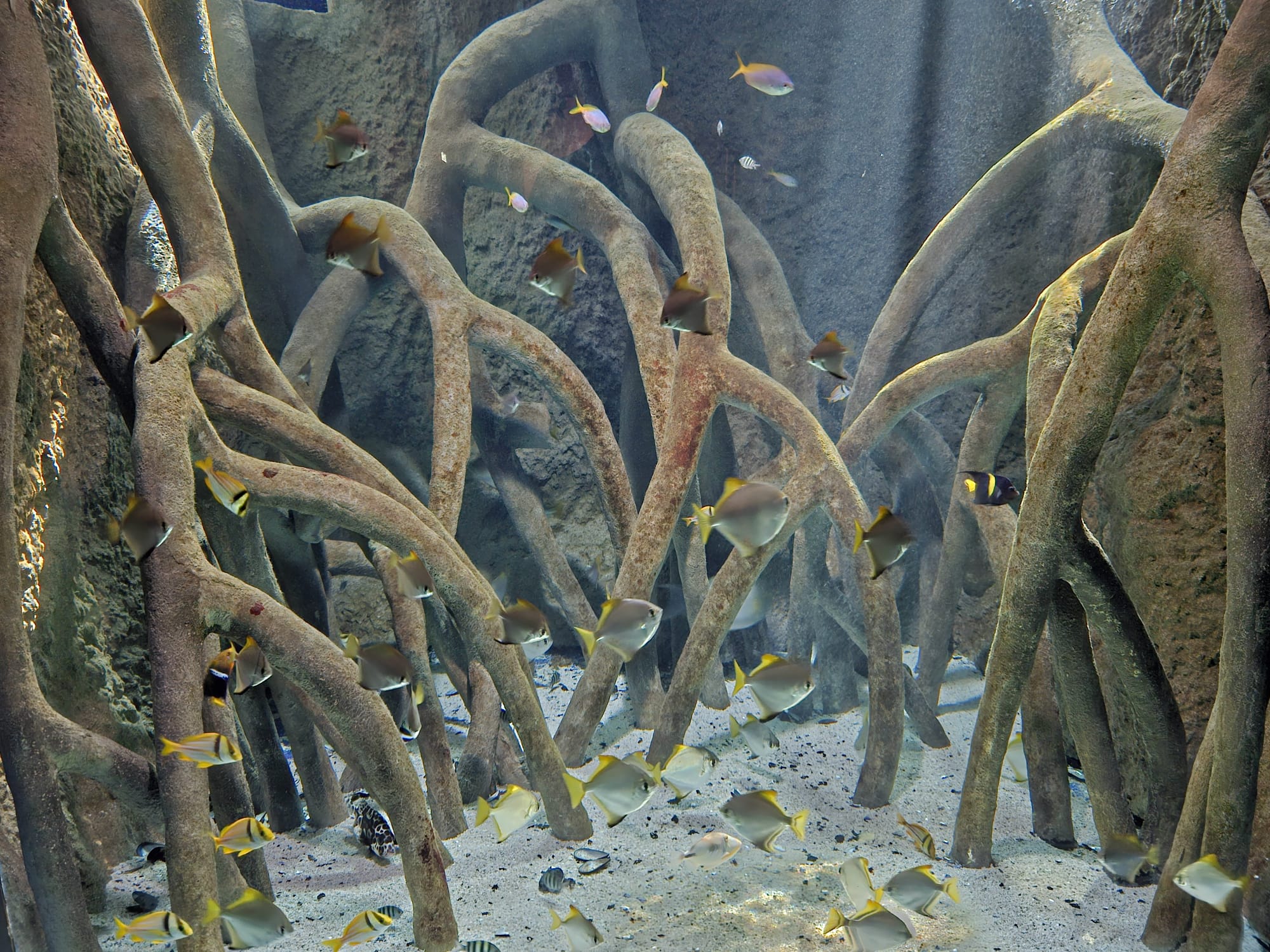 Cattolica Aquarium