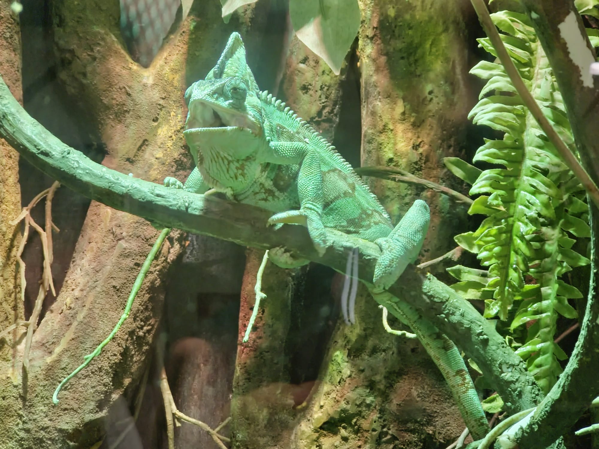Cattolica Aquarium