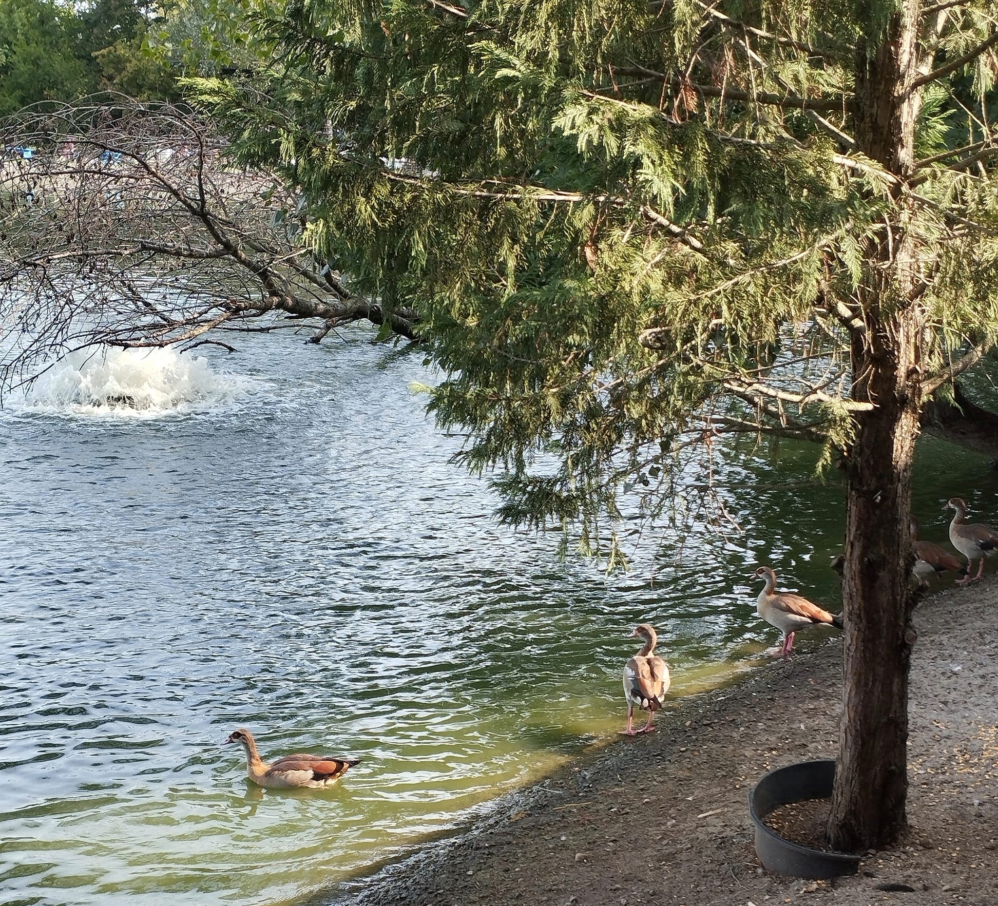 Lago Park