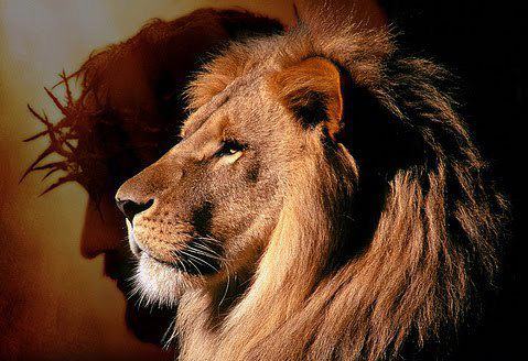 Jesus Lion
